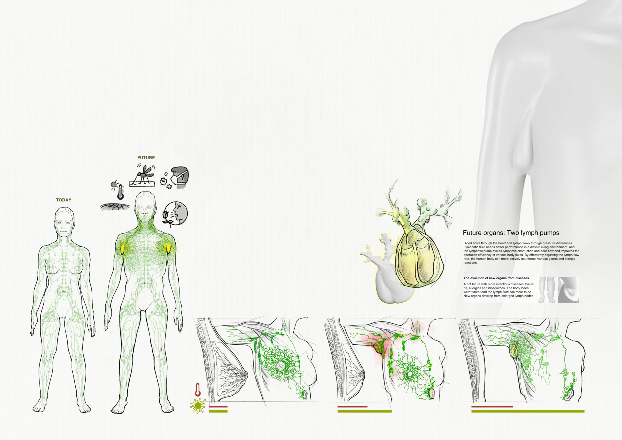 futurehuman_project_image2.webp